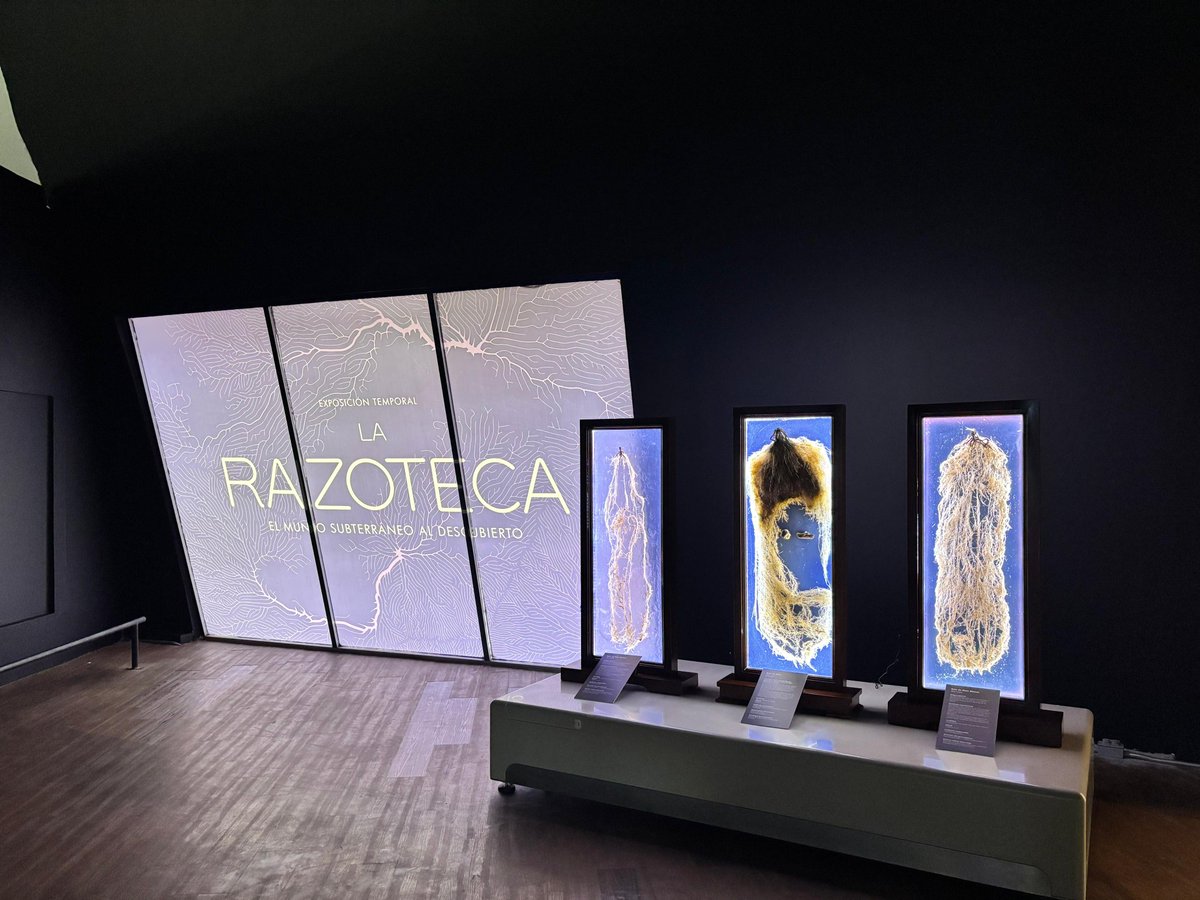 CEPROBI-IPN tweet media