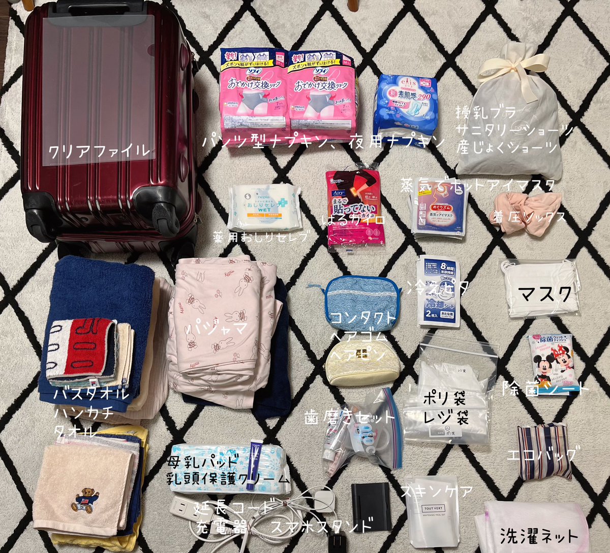 ごりら☺︎2γིྀ＋🥚⸝⋆(2026.5予定) tweet media