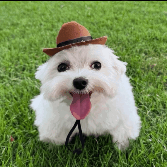 AlexSlayer tweet media