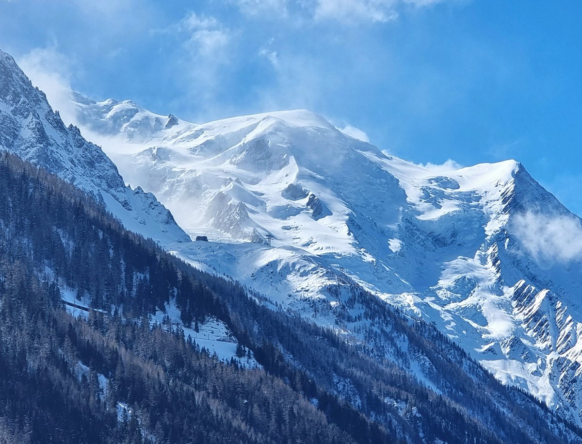 Melaine Le Roy tweet media