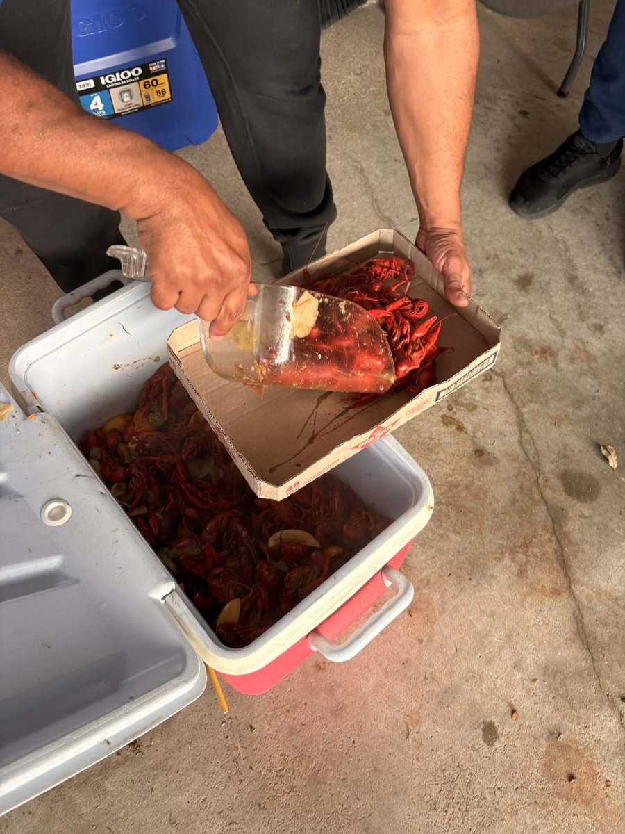 The Food Alchemist Kirsti👩🏽‍🍳✨ tweet media