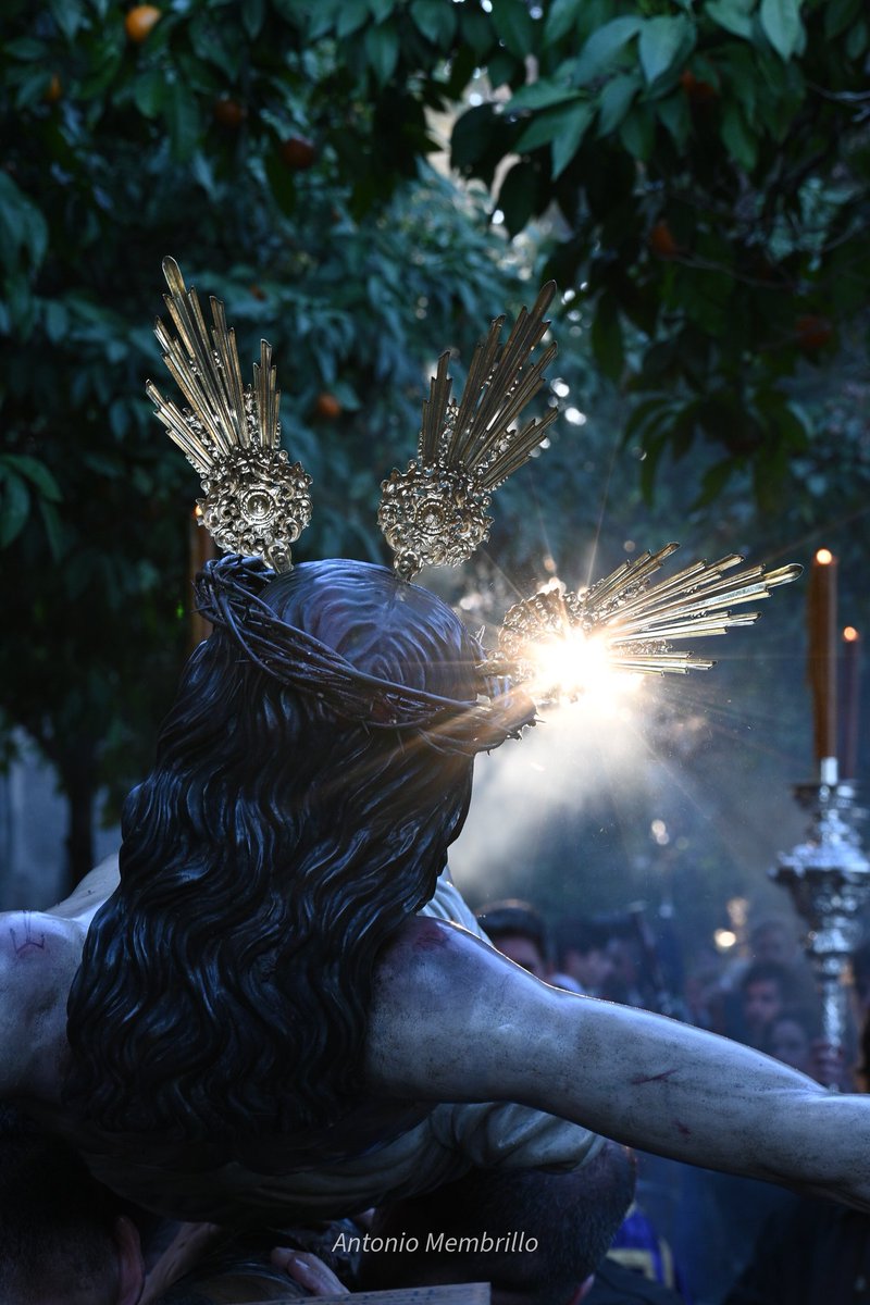 Antonio Membrillo tweet media