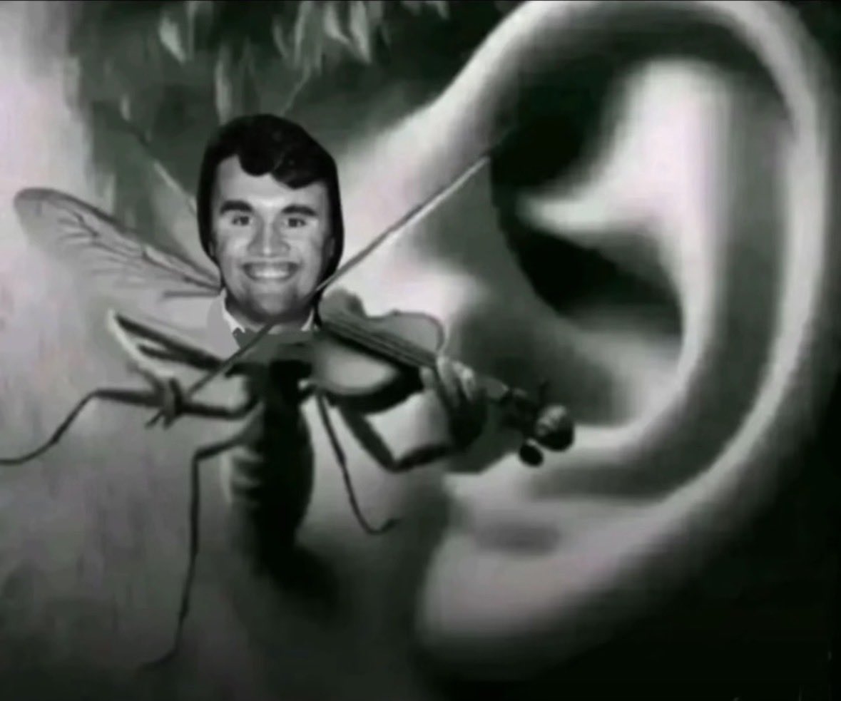 Enes 🇹🇷 tweet media