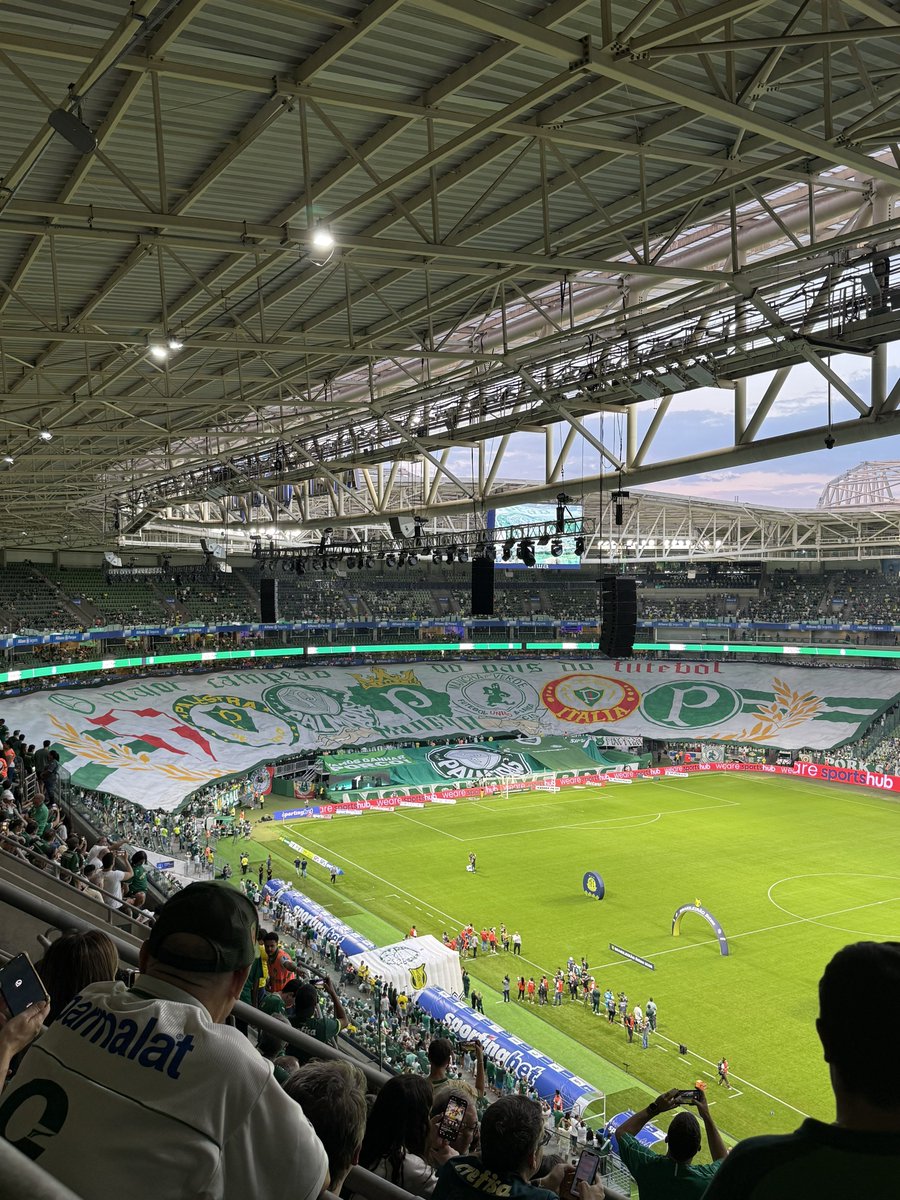 Mancha Verde estende seu bandeirão aqui no Allianz.

Que saudade eu tava desse estádio.