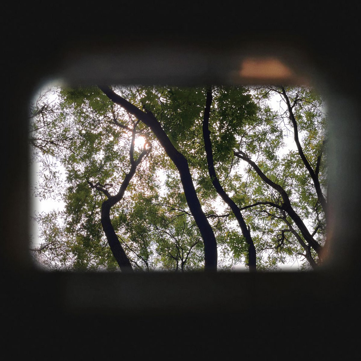 Alia Albuainain tweet media