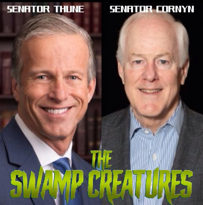 President Trump came to "drain the swamp" and these two represent everything wrong in the US Senate.

Senator Cornyn could be gone this year if Ken Paxton wins.

Senator Thune is up for re-election in 2028. We need a conservative to run against him.
