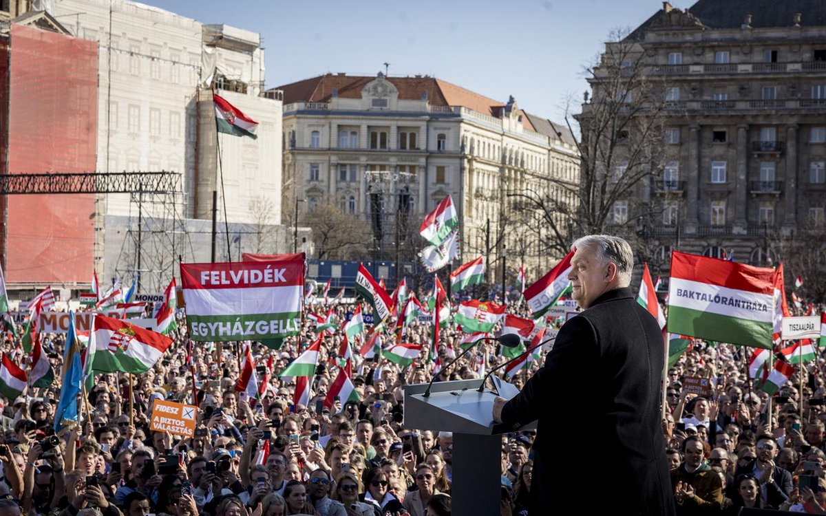 𝓓𝓸𝓷 𝓑𝓪𝓼𝓼 tweet media