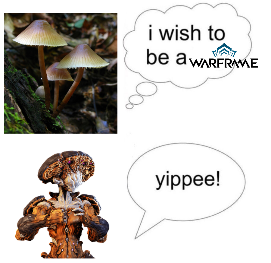 Kaya Velasco tweet media