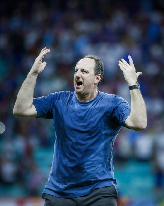 Gols do Brasileirão ⚽️🇧🇷 tweet media