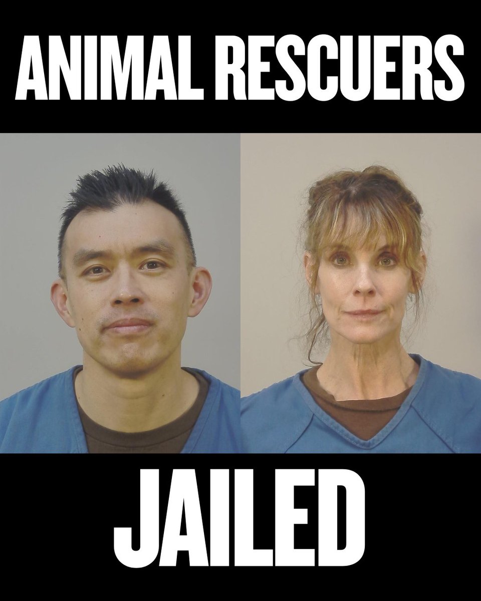 Wayne Hsiung tweet media