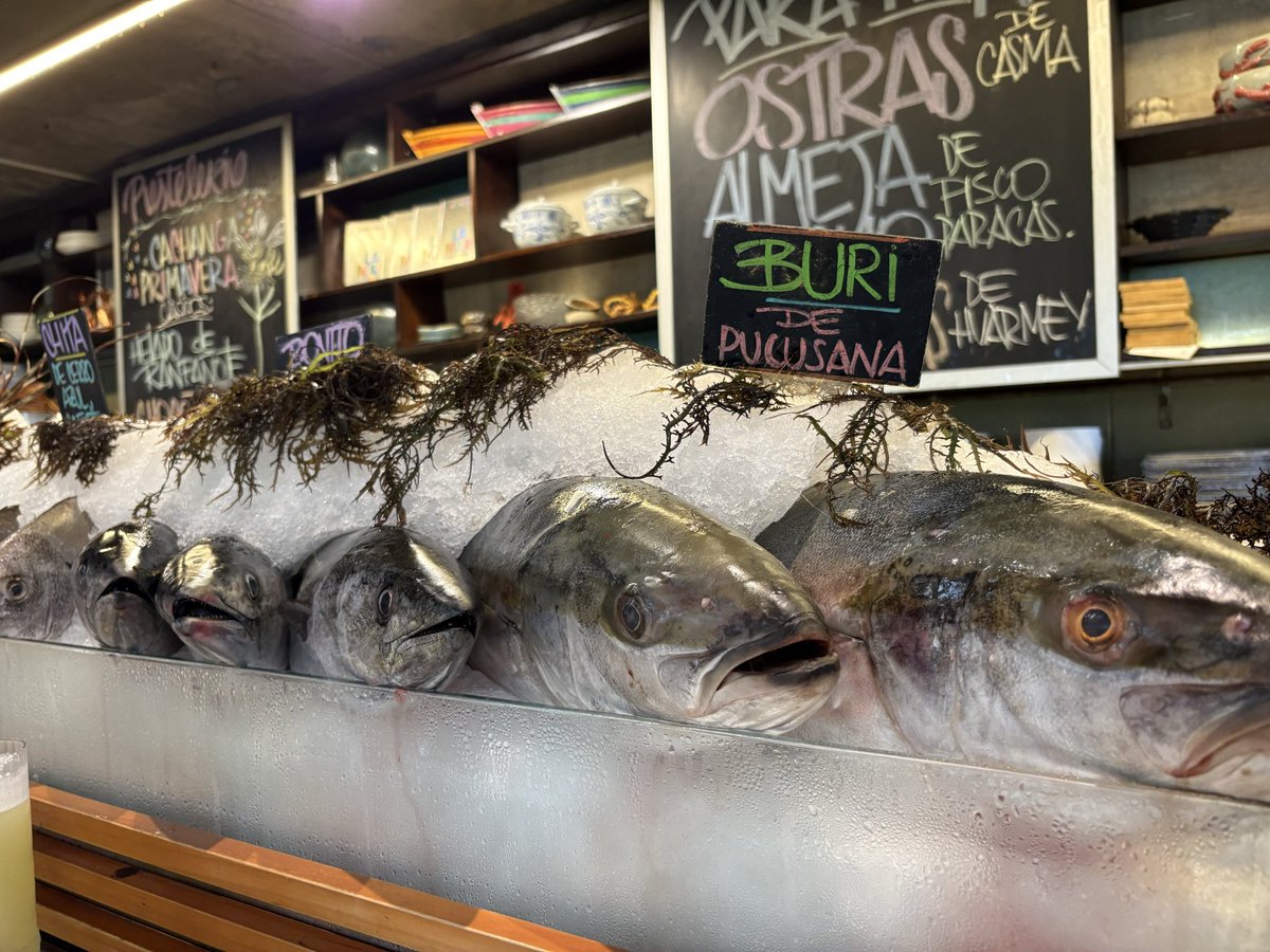 Brian Winter tweet media