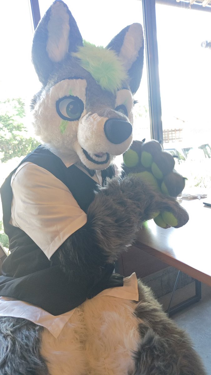 黒瑠-クロル-@ぼくモフ6 tweet media