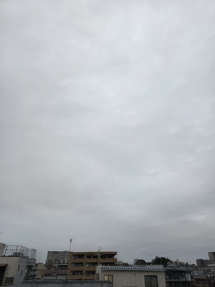 岡田 優 tweet media