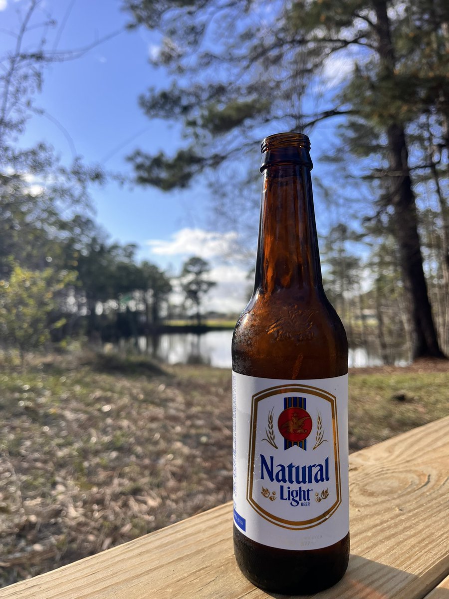 Shawn Morse tweet media