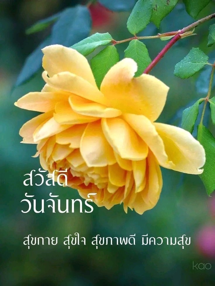 redheart tweet media