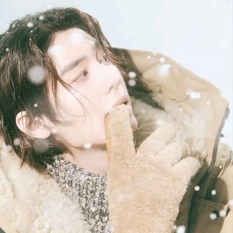 bea!! 🐞 tweet media