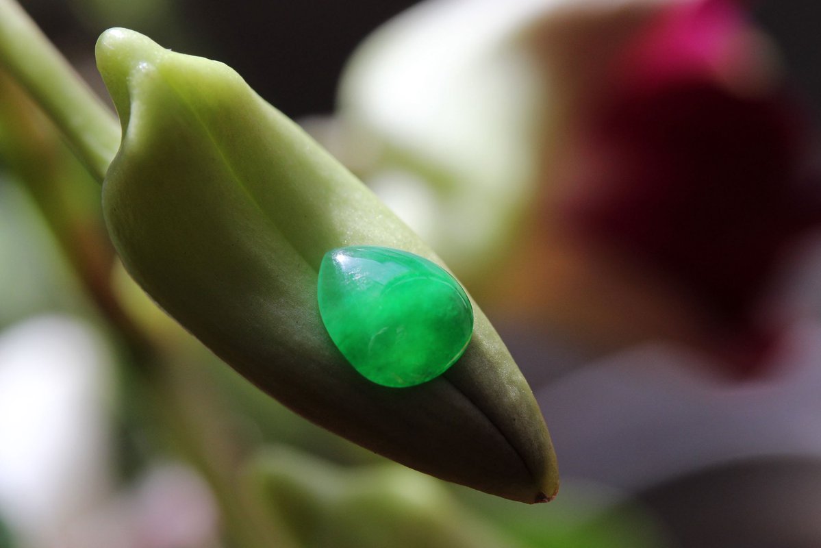 翡翠商のお店 ヤギトレーディング 2026年仙台石フリマ 3月29日（日） 出店✨ tweet media