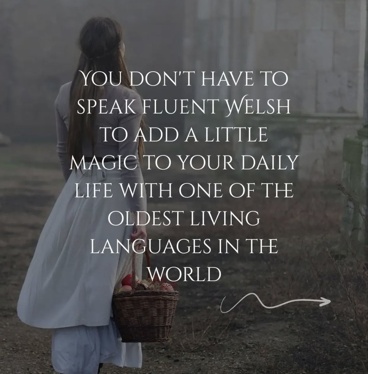 Tumblescarlet tweet media