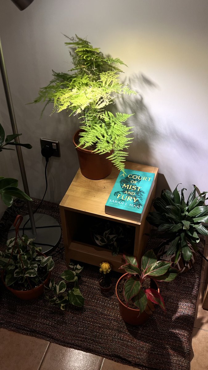 هـدّاج tweet media