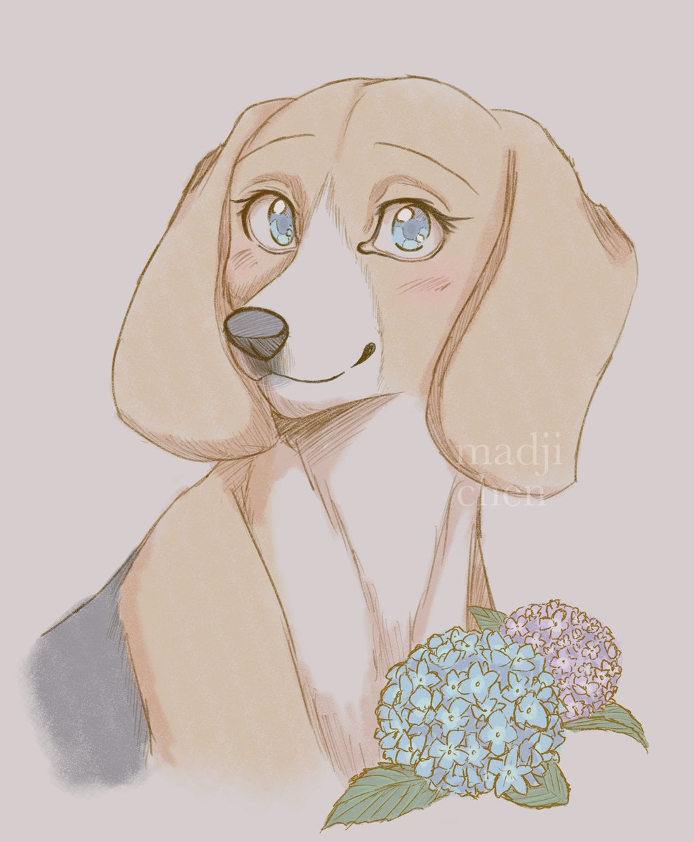 Madji🍵 tweet media