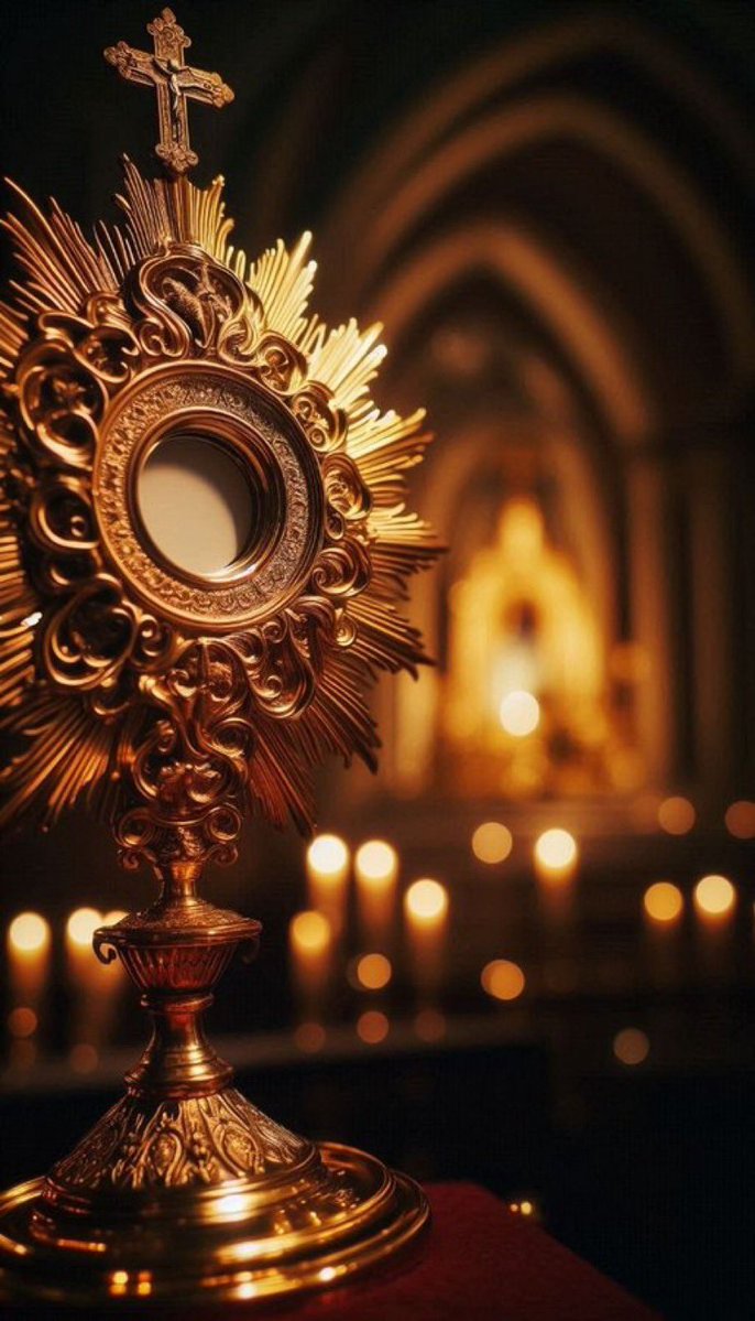 <a href="/LilaGraceRose/">Lila Rose</a> Go to adoration.
Take 30 minutes.
It’s amazing the things you’ll hear🙏🏻