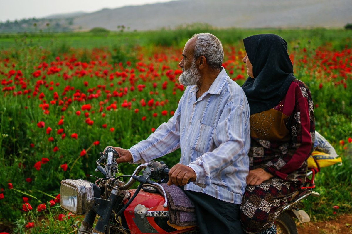 Syria Visual tweet media