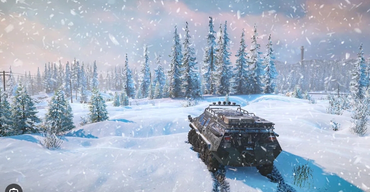 Mikhail Shevkun 🐶 tweet media