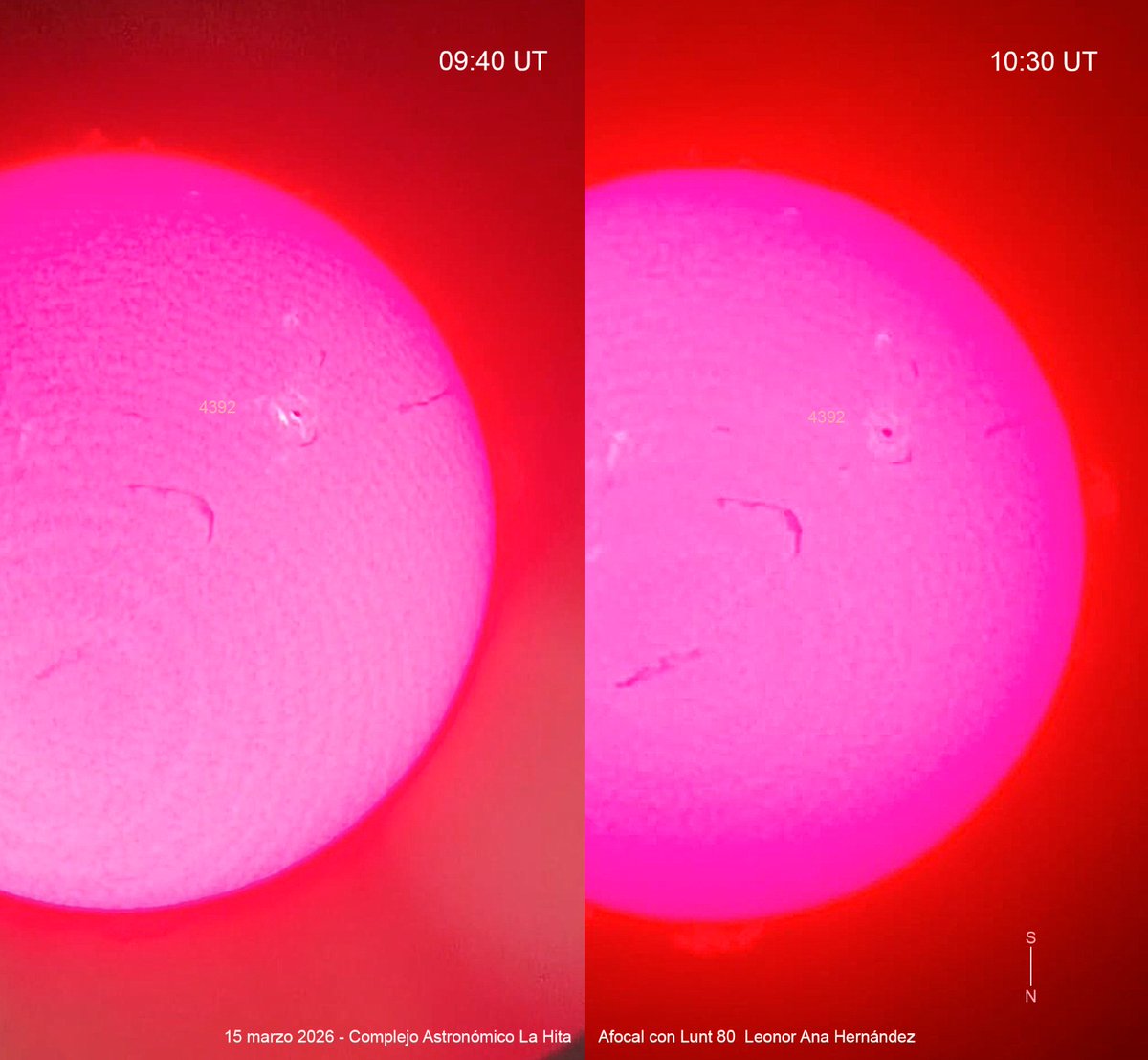 Leonor Ana Hernandez tweet media