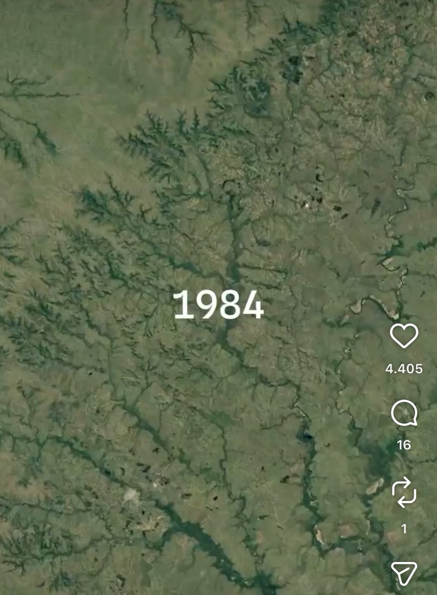 Mati Fernandez tweet media