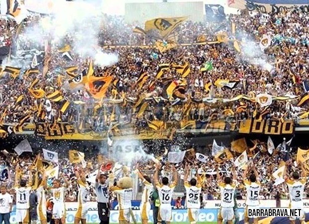 🔸El Tío Alex Auriazul 🔸 tweet media