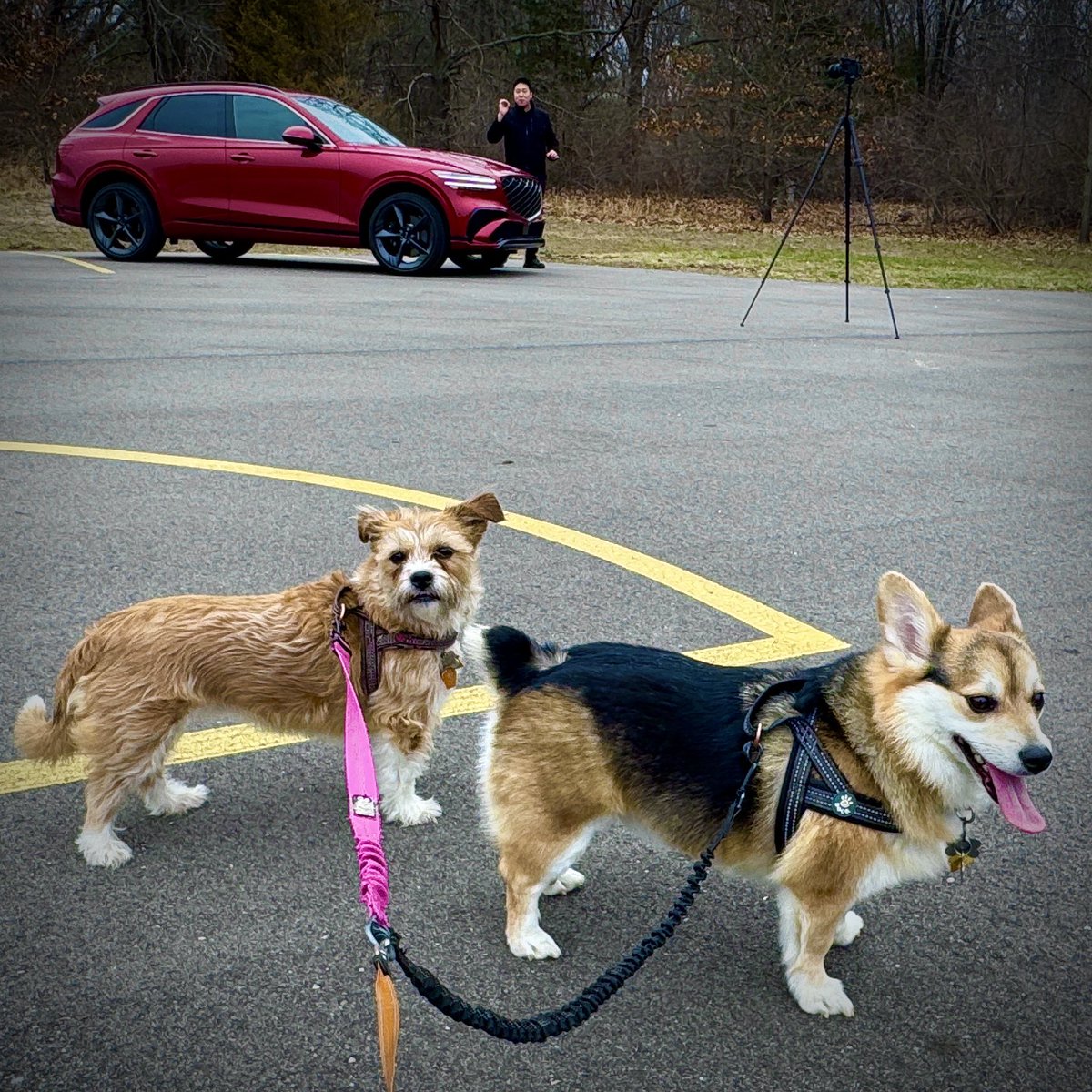 📸🎥Eric Seals tweet media