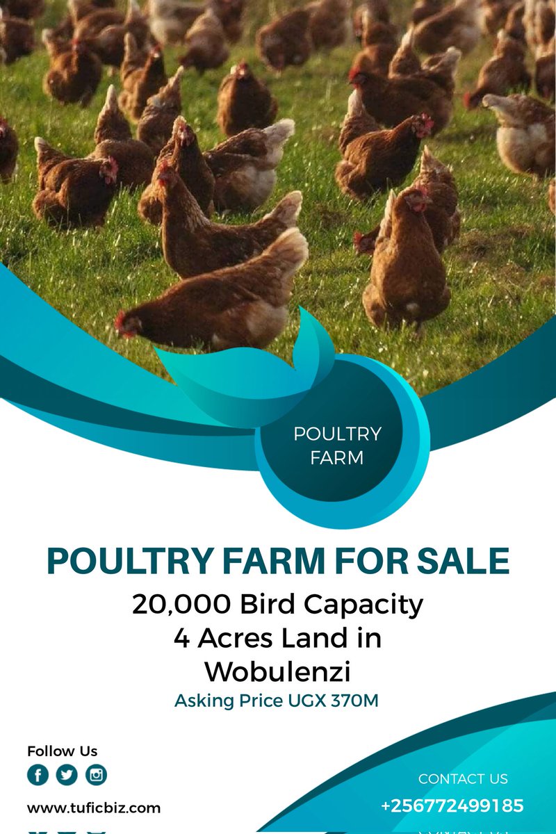 🇺🇬🇧🇮🇰🇪Cuthbert Isingoma🇷🇼🇹🇿🇸🇸 tweet media