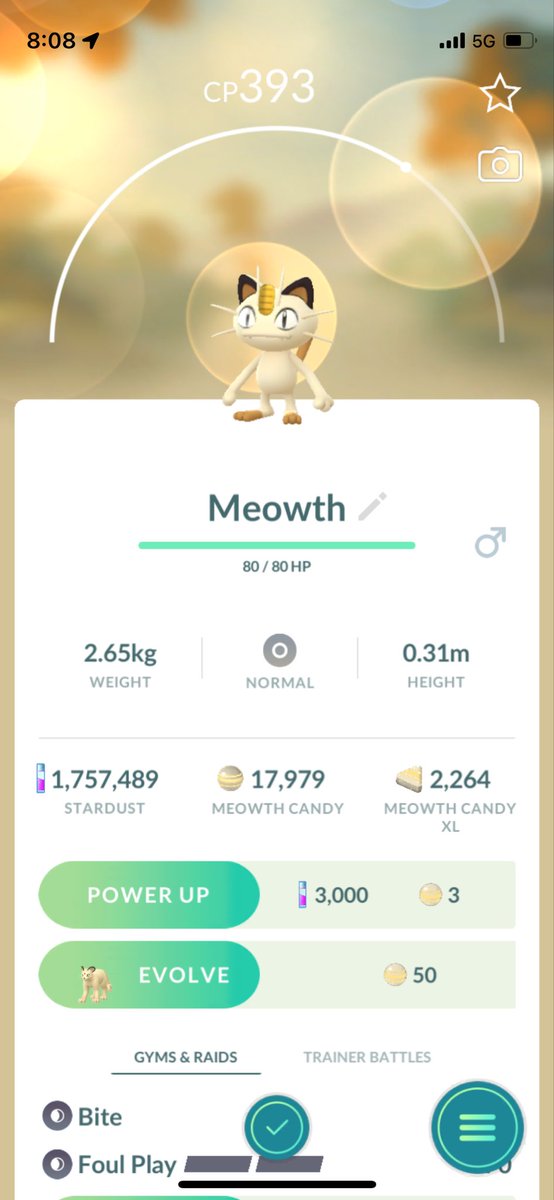 JohnPatrick_101's tweet image. #Meowth #NormalTypePokemon #PokemonGoAustralia #PokemonGo #CombatPower #MeowthCP393 #PokemonGoApp #Pokemon @PokemonGoNews