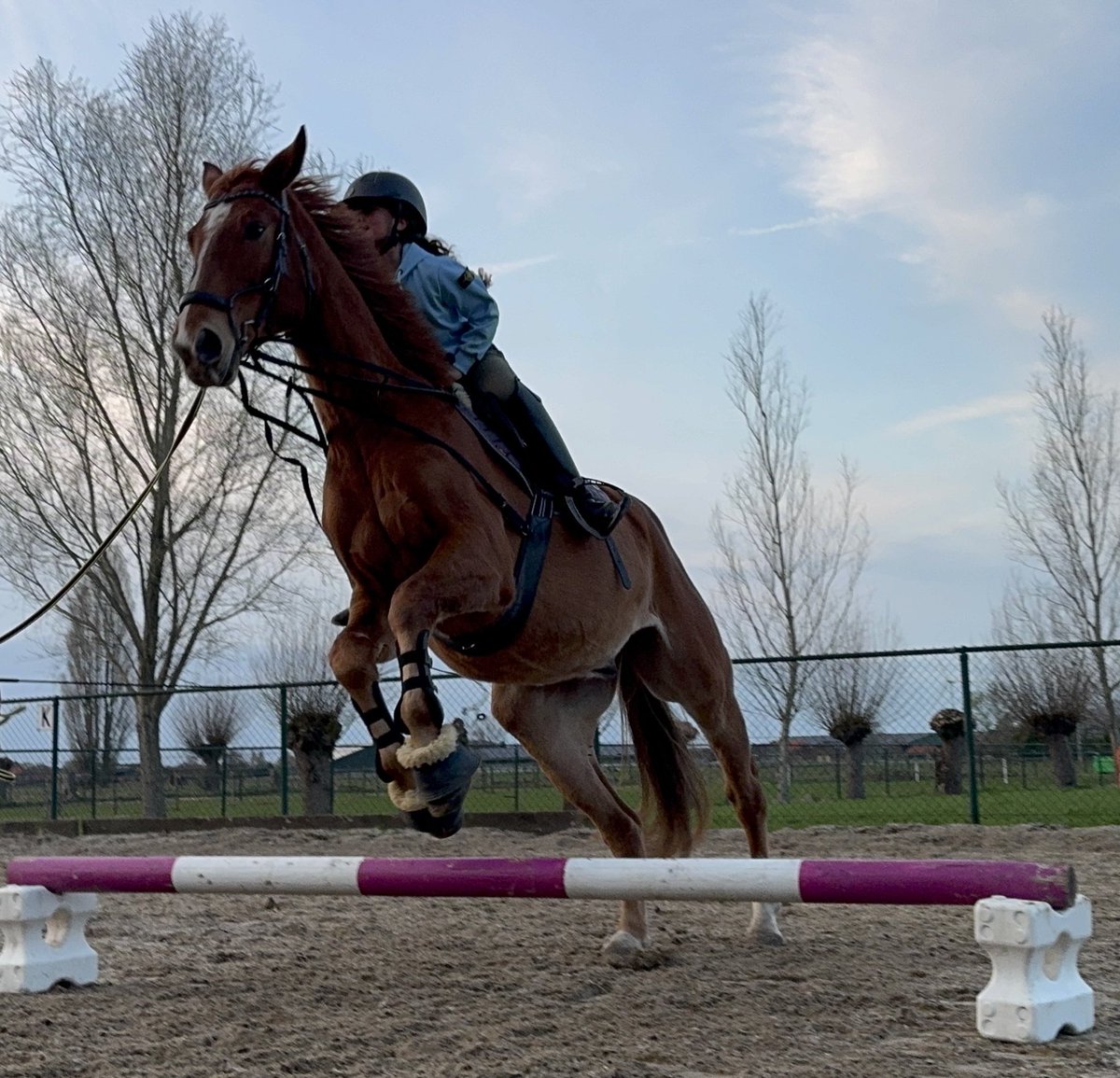 ๐
ข๐
๐
๐
ก๐
๐
๐
tweet media