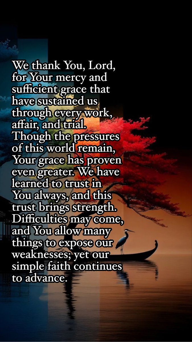 nelsonbibit tweet media