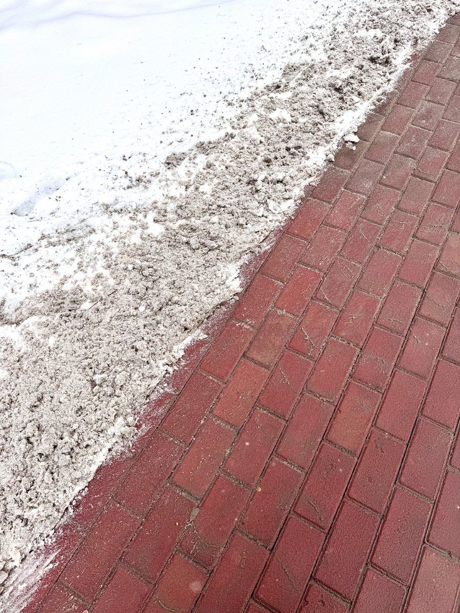 Hayleigh samuels tweet media