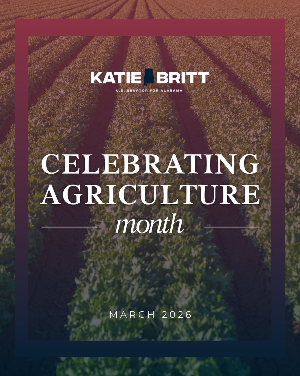 Senator Katie Boyd Britt tweet media