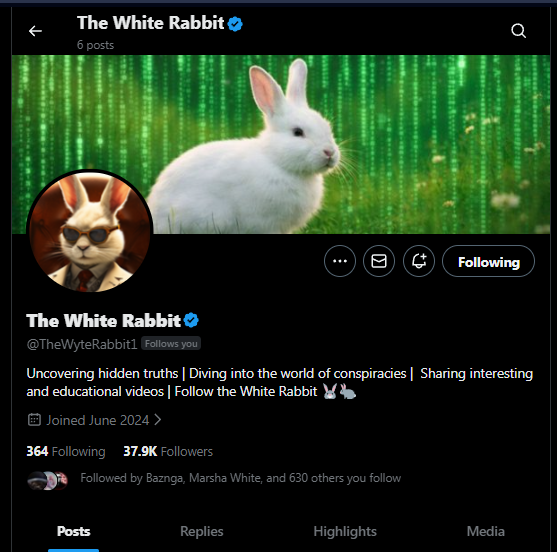 Mr. Nobody tweet media