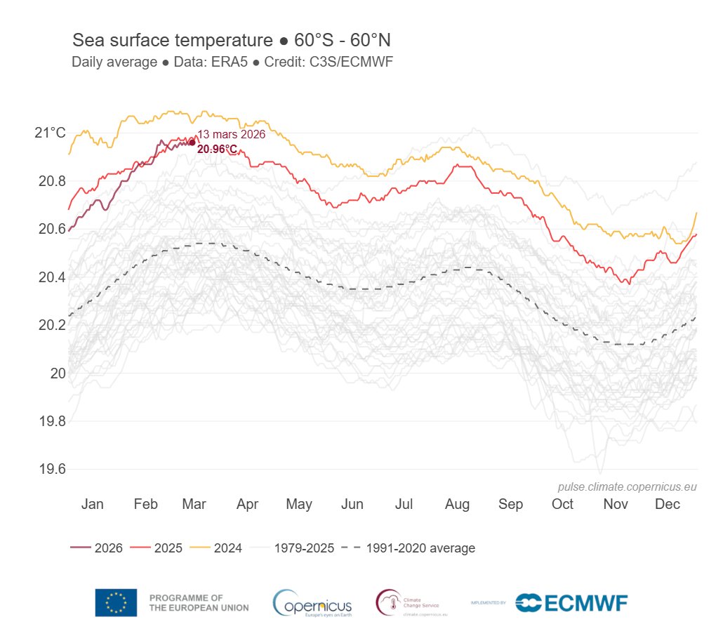 Dr. Serge Zaka (Dr. Zarge) tweet media