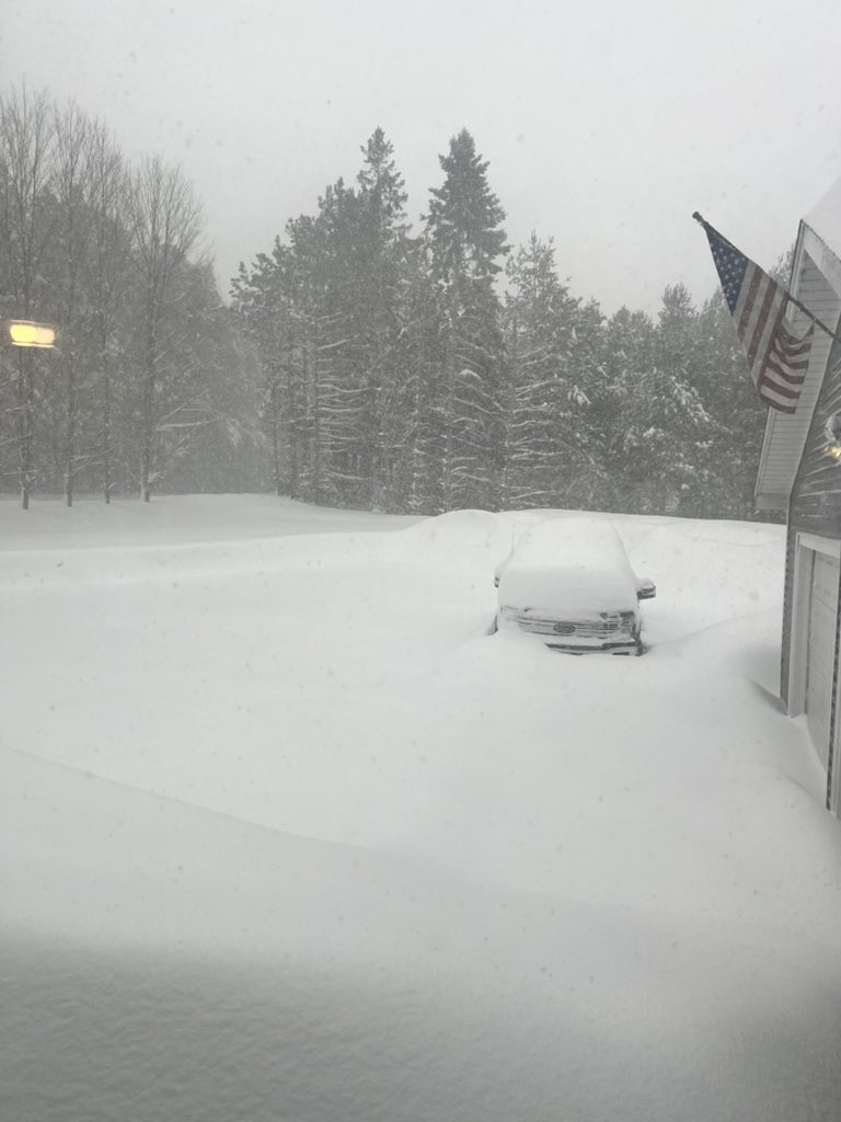 Megan Stefanski tweet media