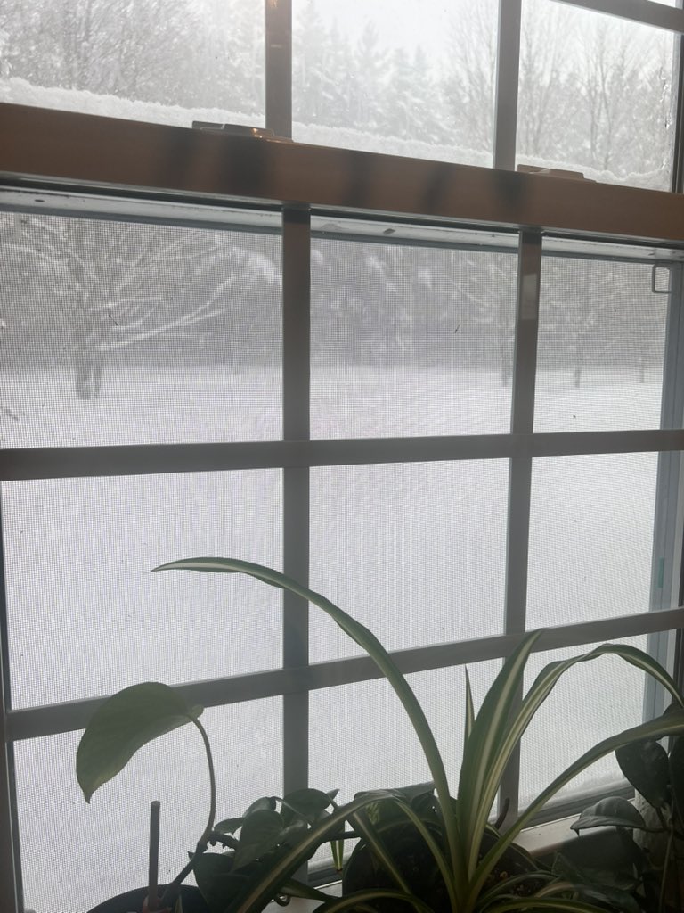 Megan Stefanski tweet media