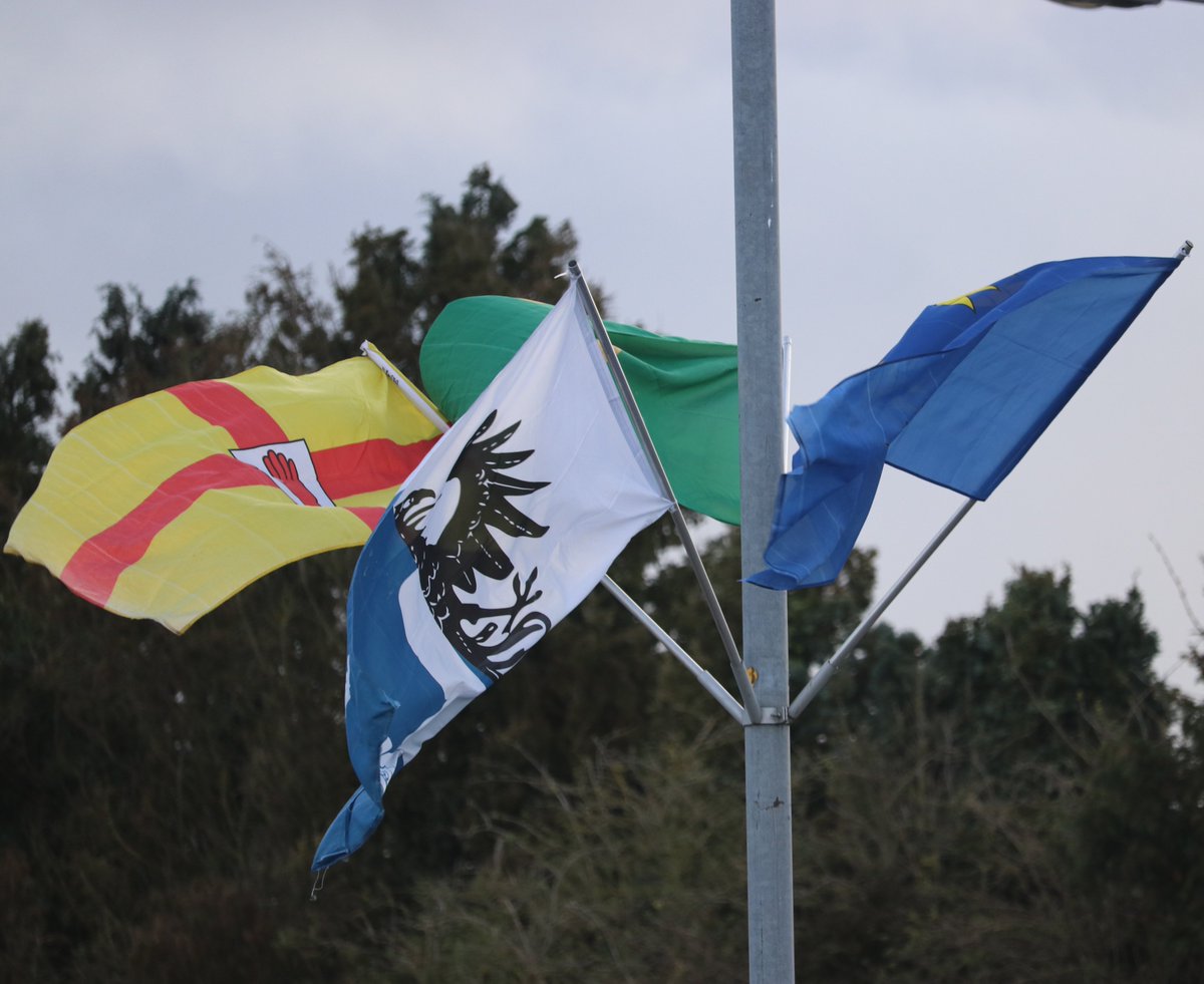 Newbridge Tidy Towns Association #DroicheadNua tweet media