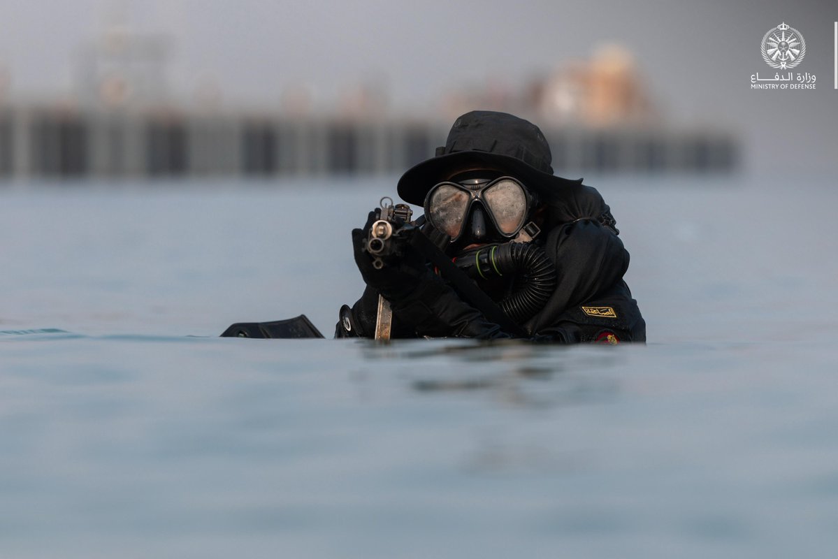 وزارة الدفاع tweet media