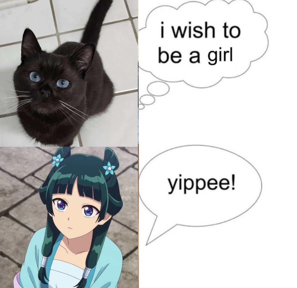 Tarsi🦋 tweet media