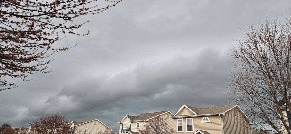 Stacey Evans tweet media