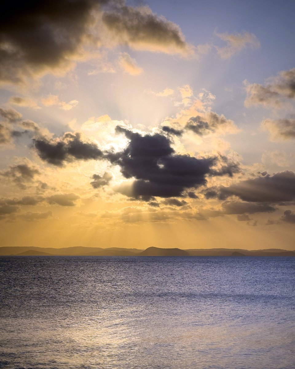 Warren Prior tweet media