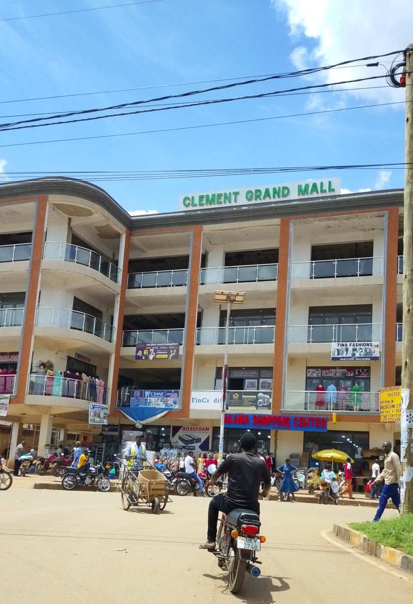 Lango Unveiled 🌴 tweet media