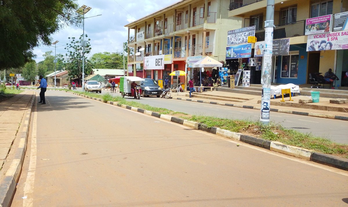 Lango Unveiled 🌴 tweet media