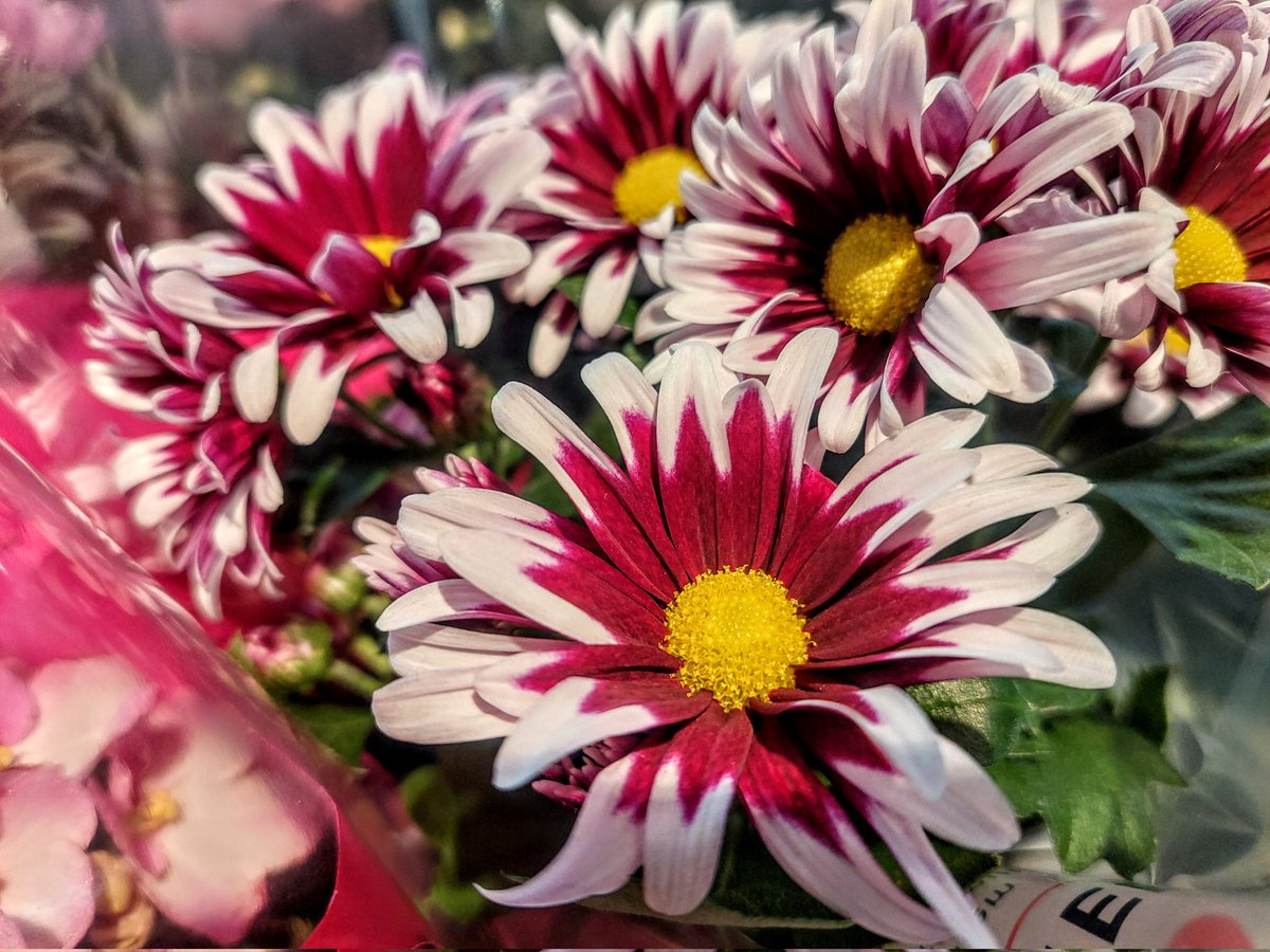 Alberto 🇫🇮 tweet media