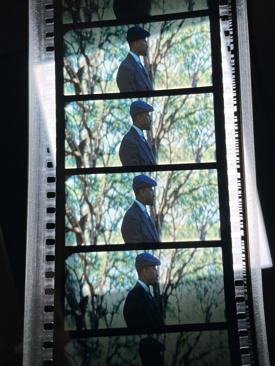 Music Box Theatre tweet media